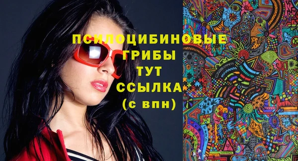 скорость Бородино