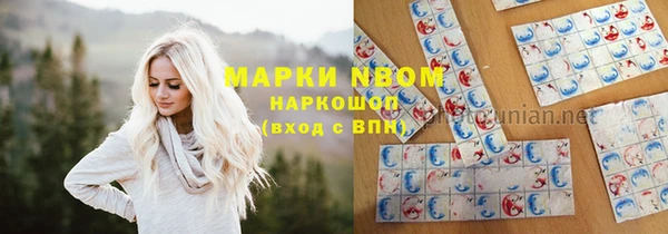 ПСИЛОЦИБИНОВЫЕ ГРИБЫ Баксан