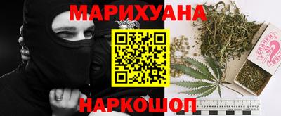 сатива Балаково