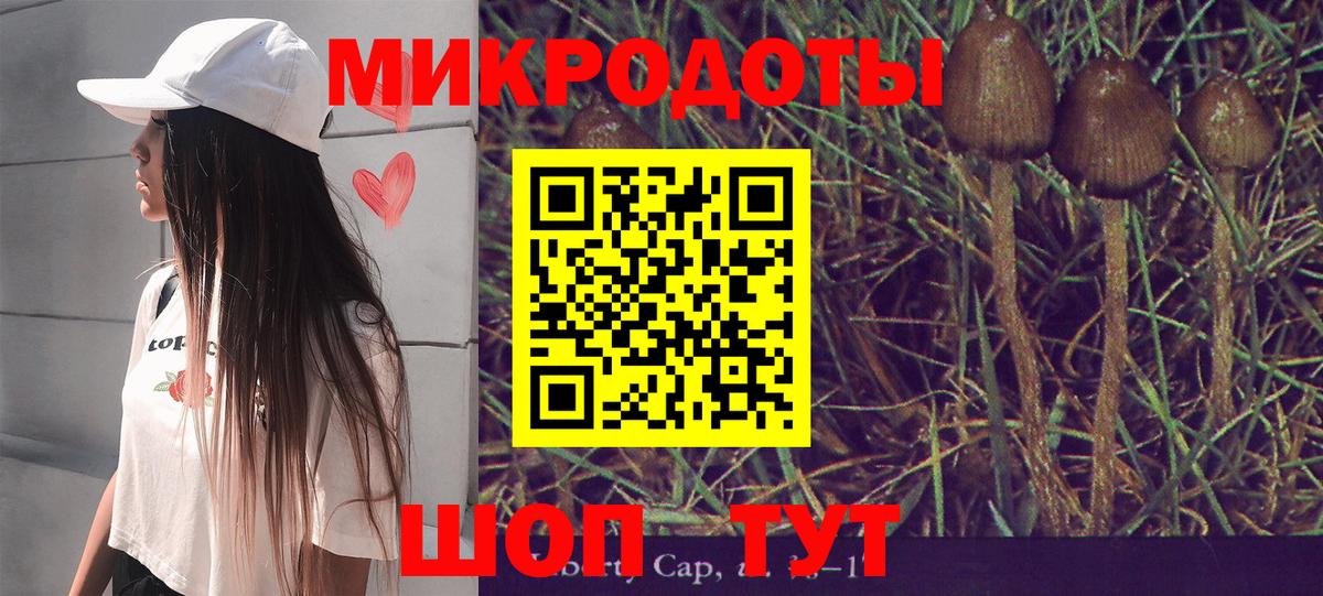 Галлюциногенные грибы Psilocybe Верхний Уфалей