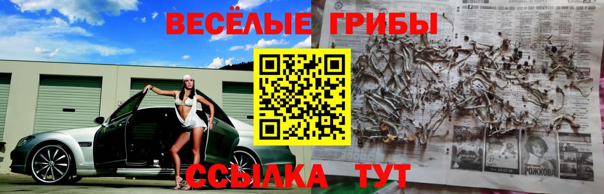 Псилоцибиновые грибы Magic Shrooms  Вход с VPN  Верхний Уфалей 